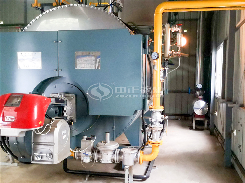 丹阳锅炉厂4吨WNS型二回程天然气蒸汽锅炉项目