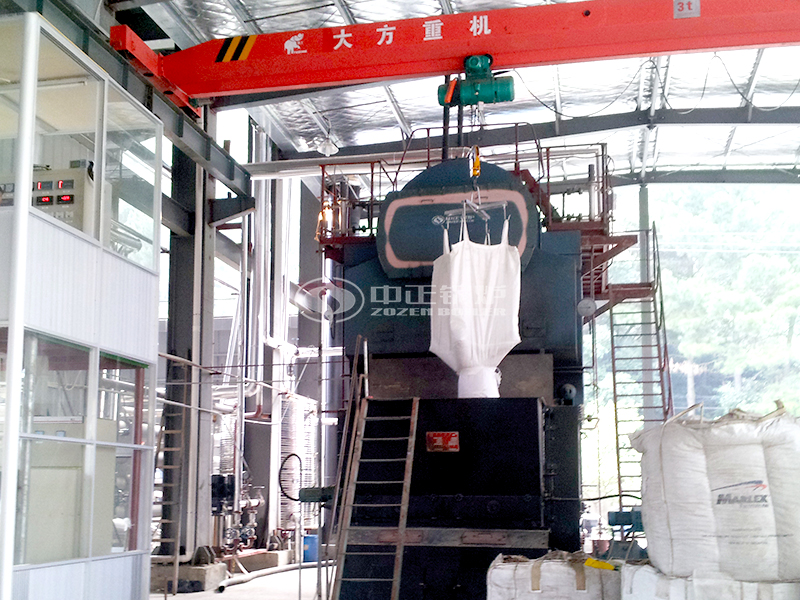 绍兴龙洋印染15吨SZL生物质蒸汽锅炉项目